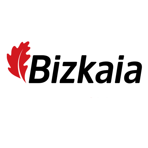 Bizkaia logo