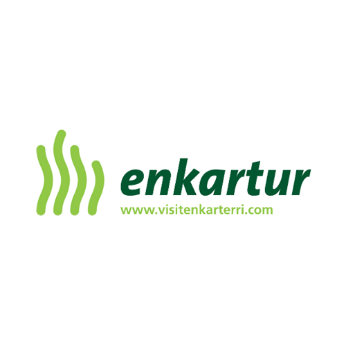 Enkartur logo